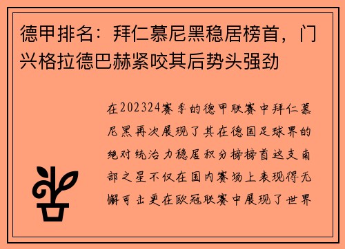 德甲排名：拜仁慕尼黑稳居榜首，门兴格拉德巴赫紧咬其后势头强劲